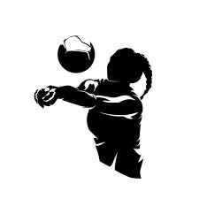 volleyball player
